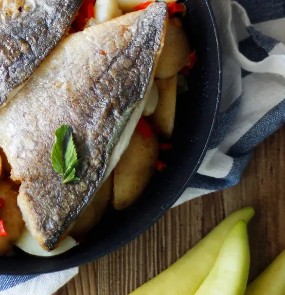 image-fish.webp