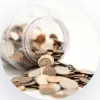 Provide cost estimations